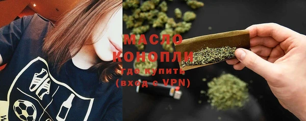 метадон Богданович